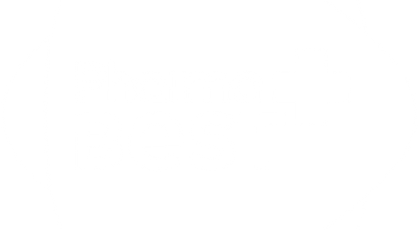 Partner 2 logo
