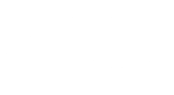 Partner 1 logo